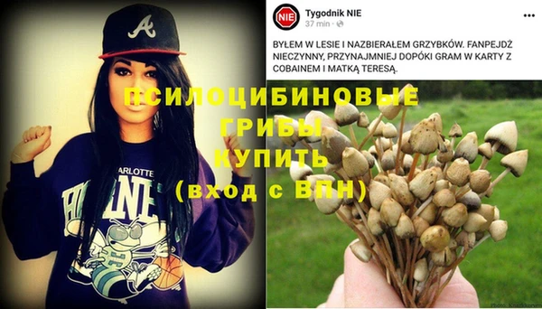 соль курить ск Магадан