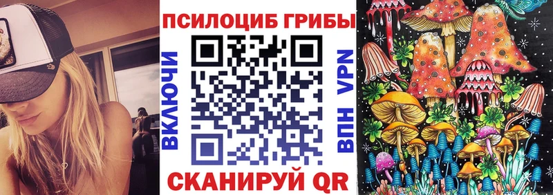 Псилоцибиновые грибы GOLDEN TEACHER  нарко площадка формула  Асино 