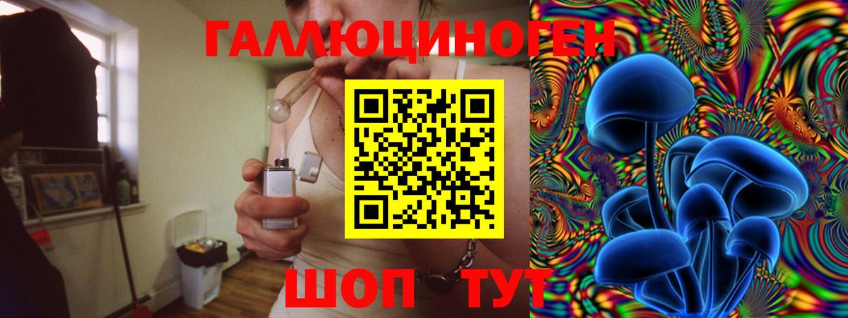 Псилоцибиновые грибы Psilocybine cubensis Асино