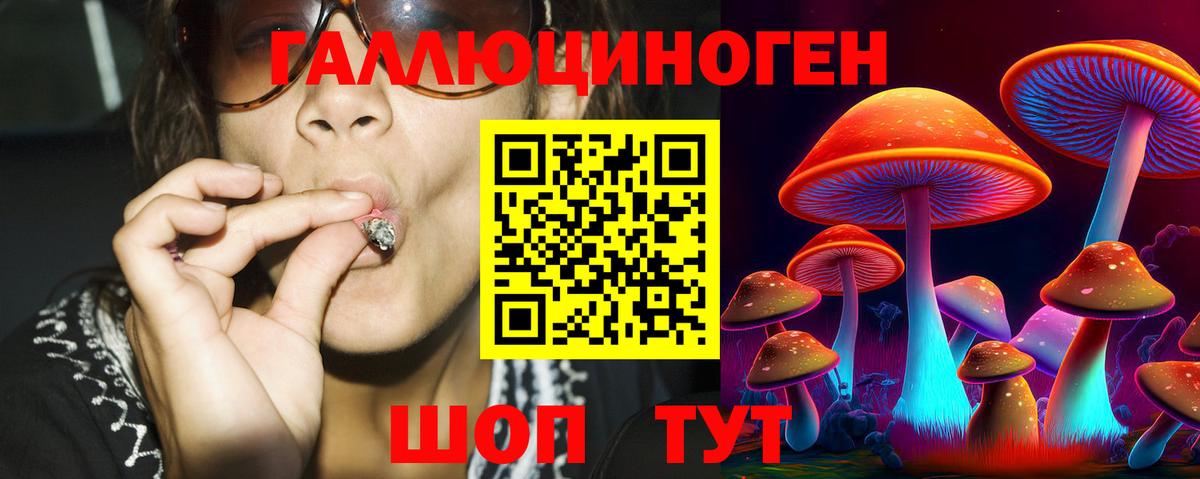 Асино  Галлюциногенные грибы MAGIC MUSHROOMS  наркотики  Вход с VPN 