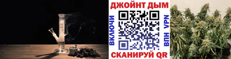Каннабис план Асино